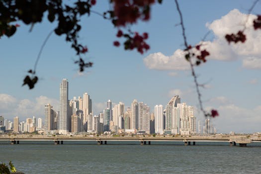 Panama City skyline viewed across the water, framed by vibrant floral branches.