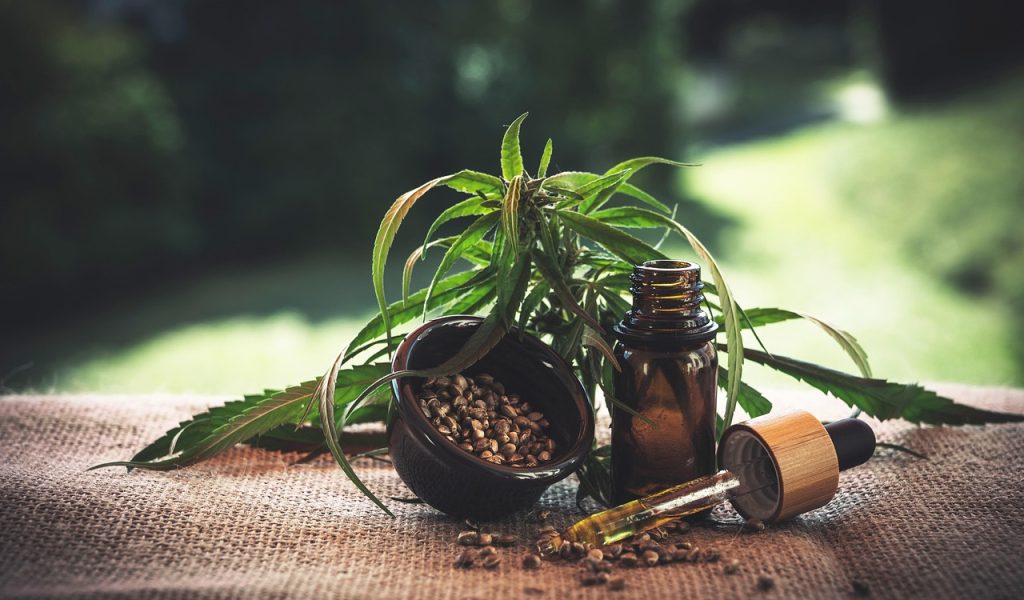 cbd, cannabidio, cbd oil, hemp oil, weed, hemp, cannabinoid, oil, health, thc, medical, green